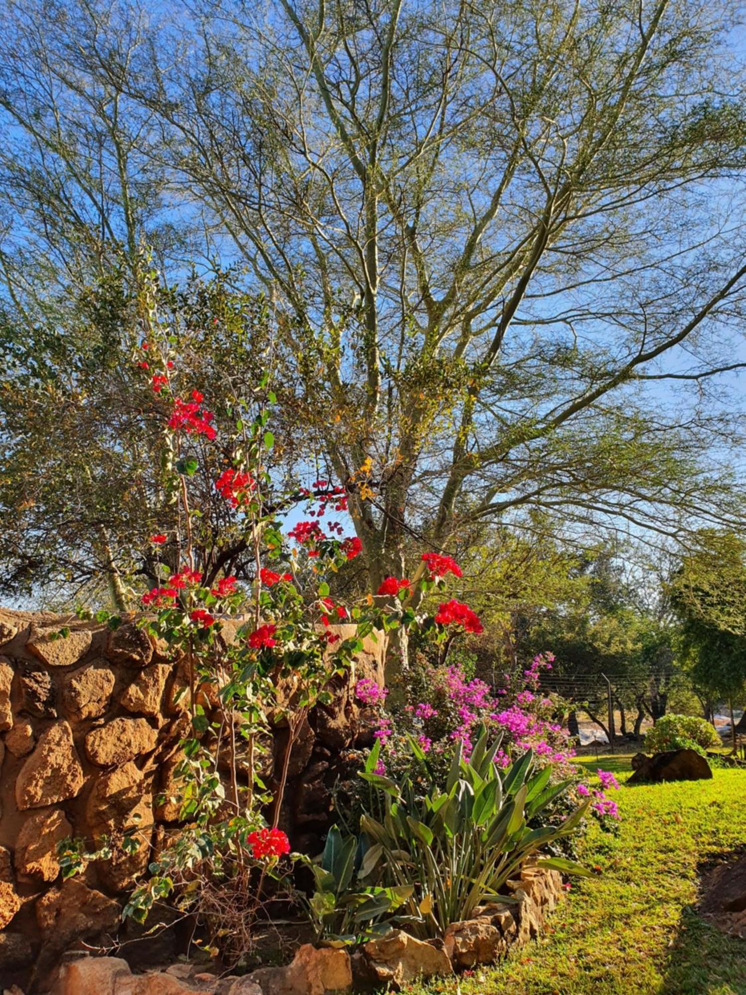 هويدزبروت Hasekamp Family Bush Lodge المظهر الخارجي الصورة