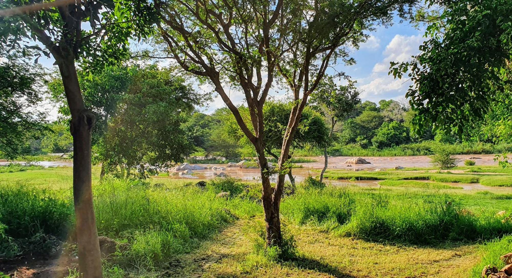 هويدزبروت Hasekamp Family Bush Lodge المظهر الخارجي الصورة