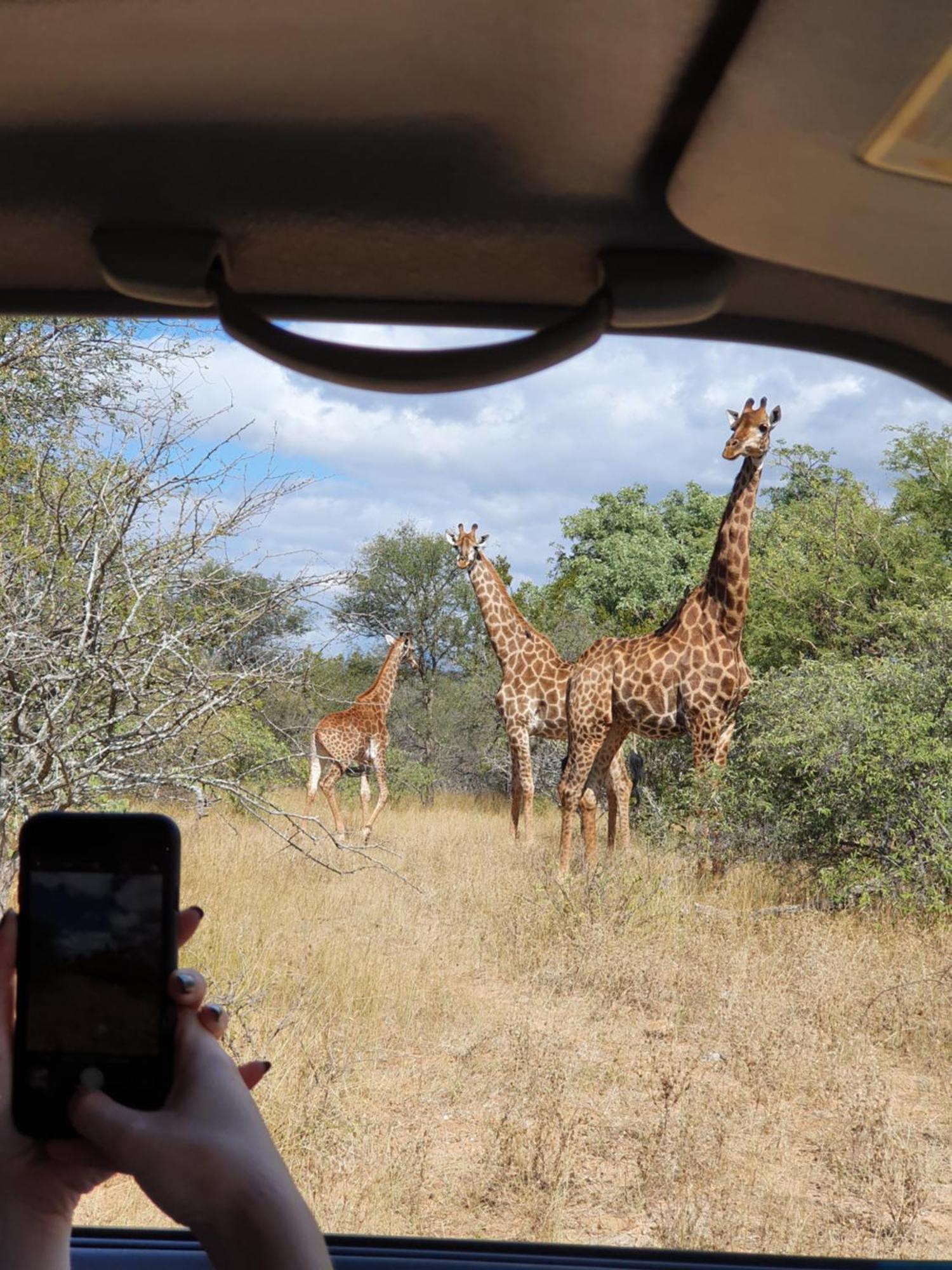 هويدزبروت Hasekamp Family Bush Lodge المظهر الخارجي الصورة