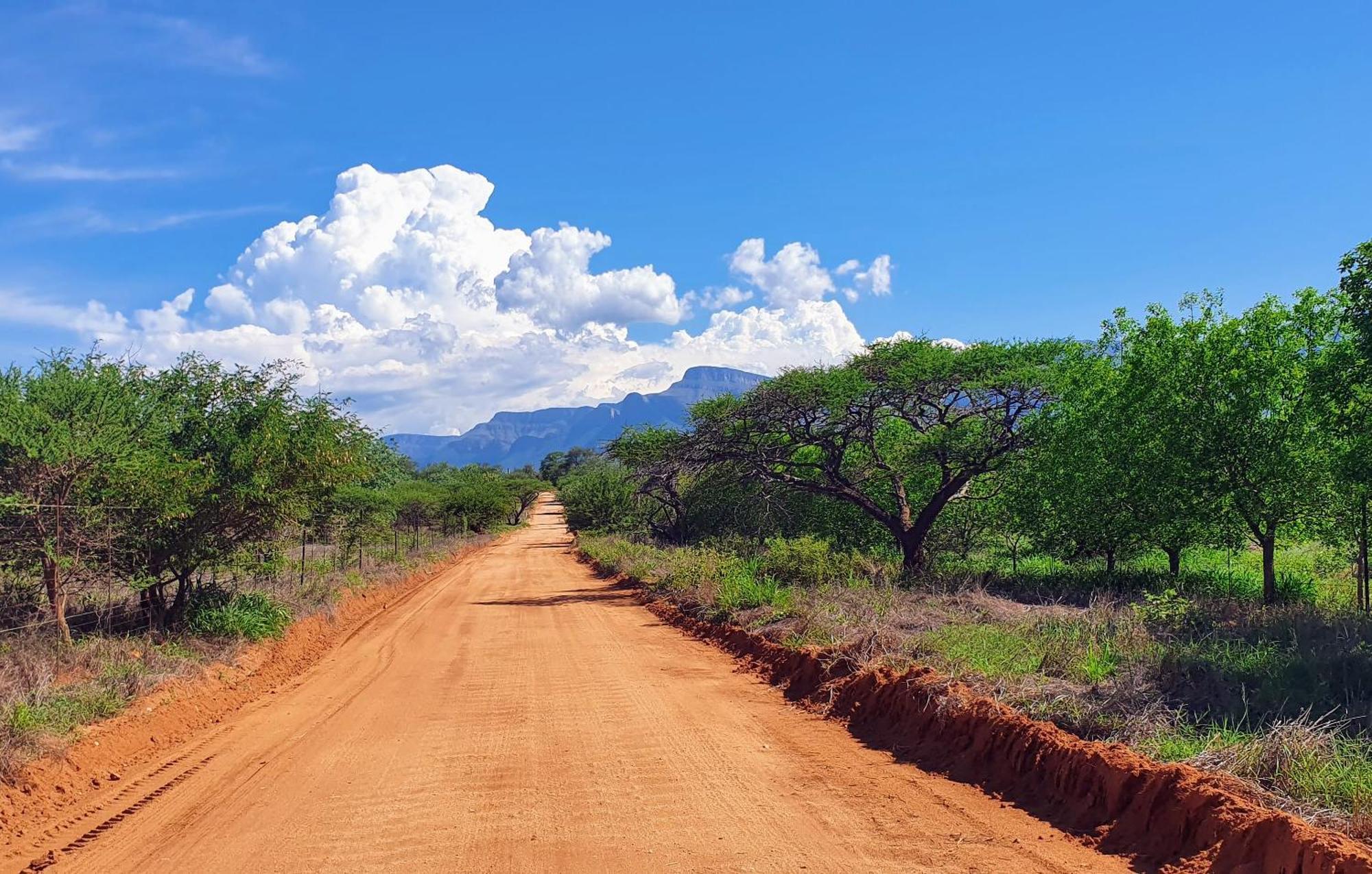 هويدزبروت Hasekamp Family Bush Lodge المظهر الخارجي الصورة